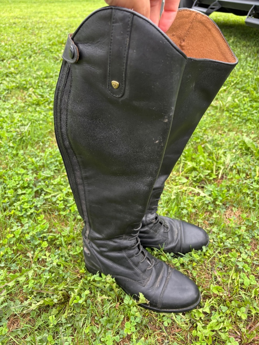 Ariat Tall Boots